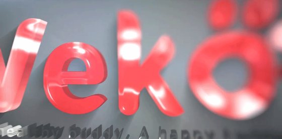 Veko work
