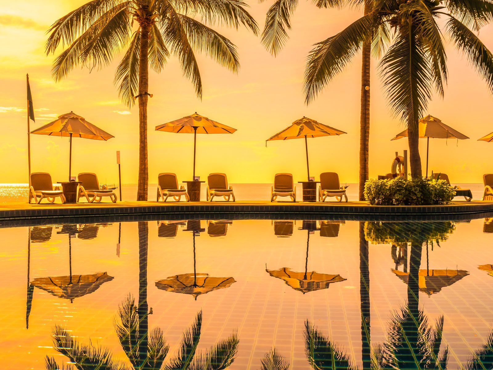 A stunning Instagram post highlighting your hotel's prime features, such as a sunset view from the infinity pool or the exquisite dining setup.