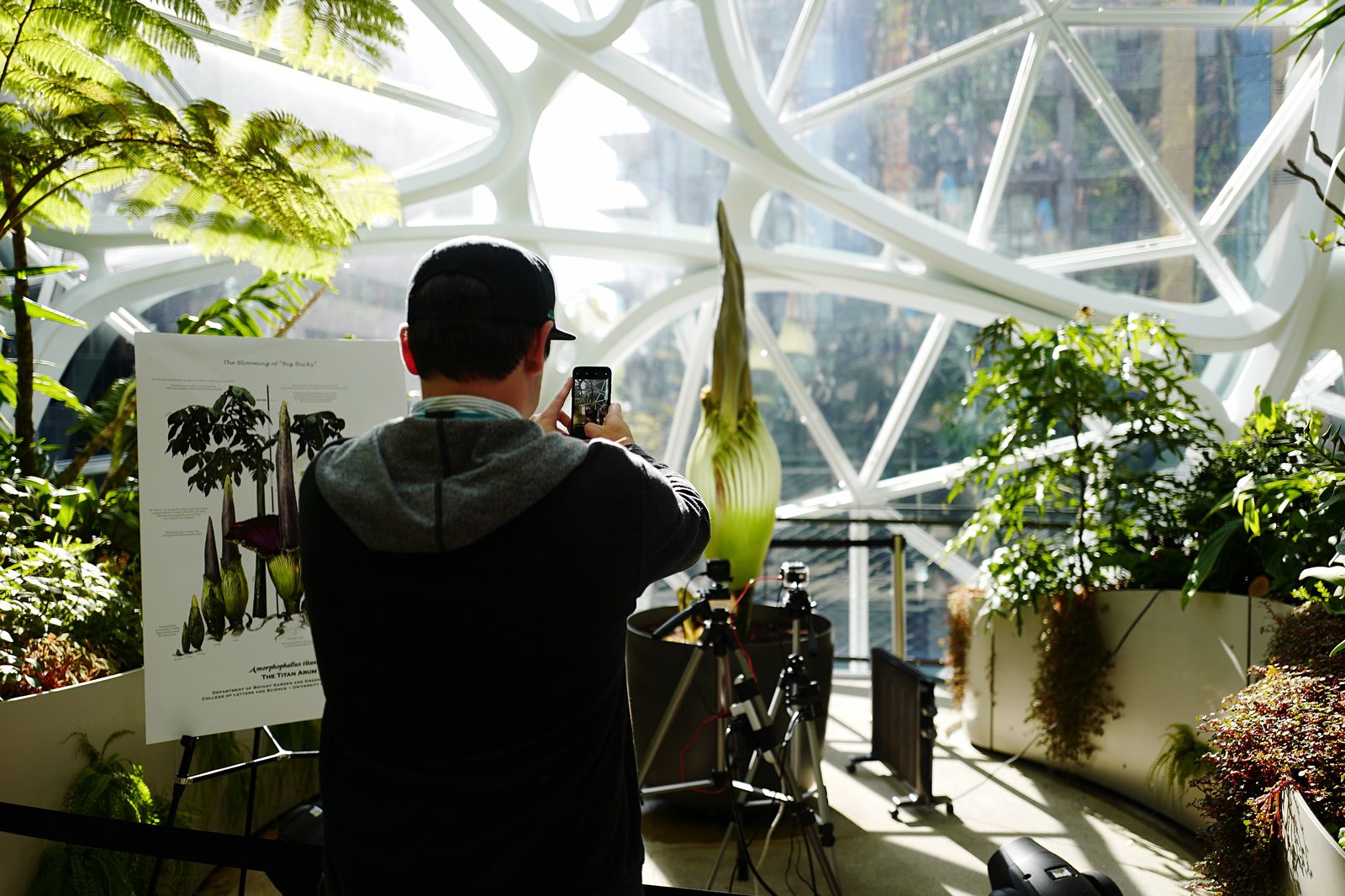Social media hotel photography