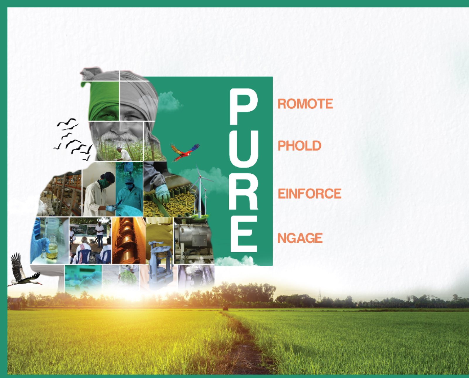 Social media design