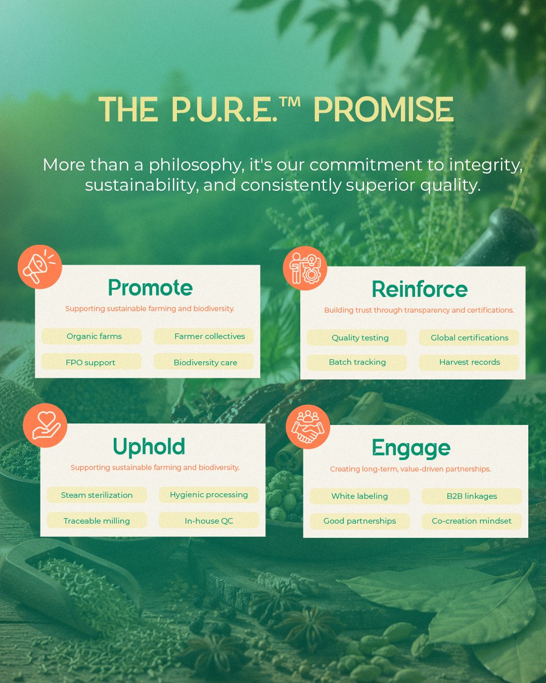 Social media design